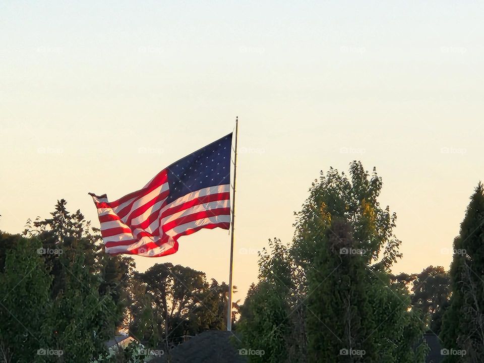 American flag waving in the wind above the trees in front of an Oregon Summer evening sky background