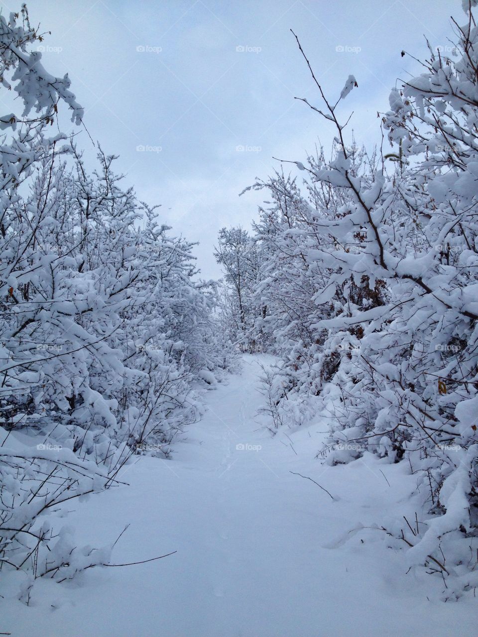 winter path