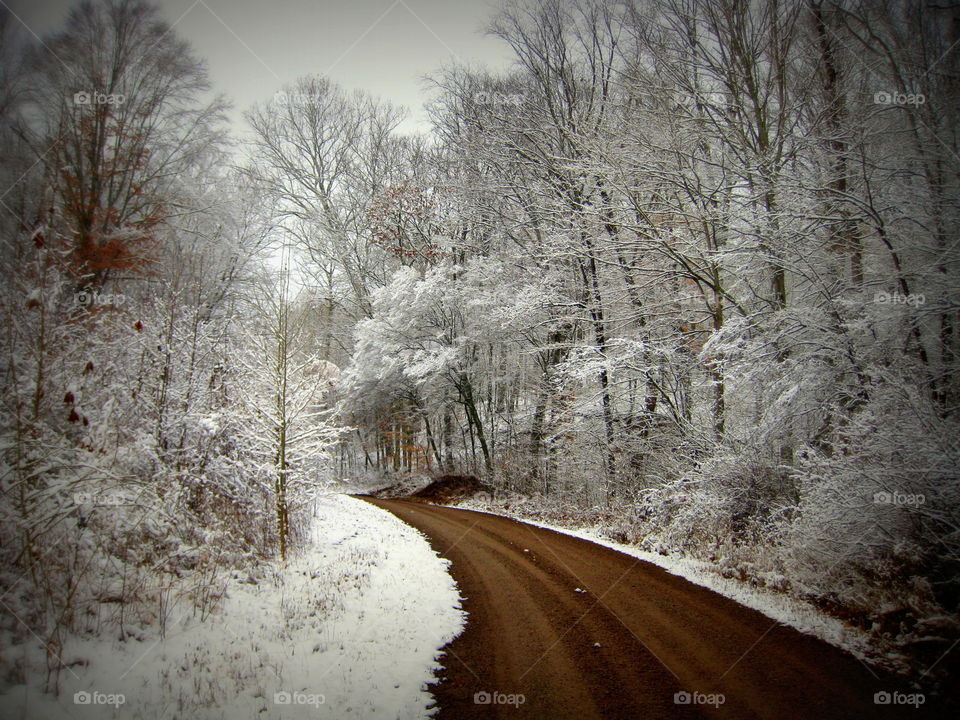 An old dirt, gravel road on a winter wonderland day!