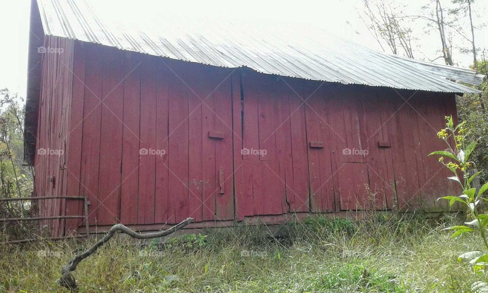 Red Barn