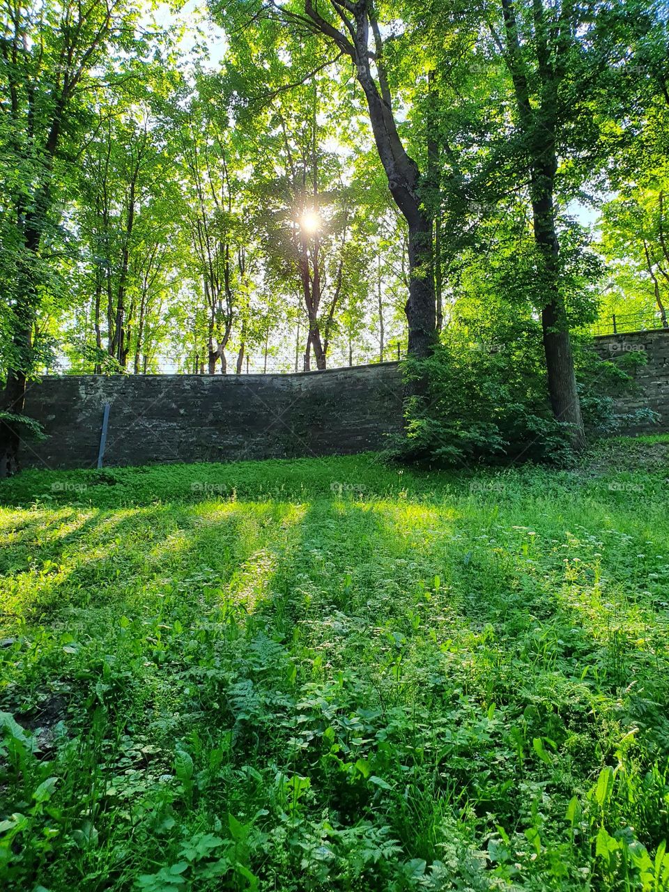 Hot summer day in a beautiful green park. Estonia