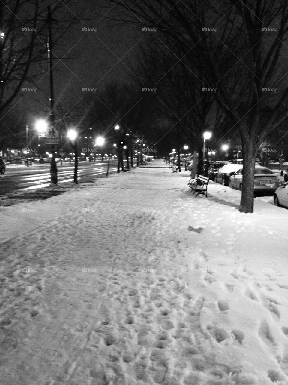 Snow, Winter, No Person, Road, Cold