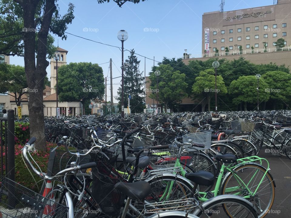 Bicycles in the Station