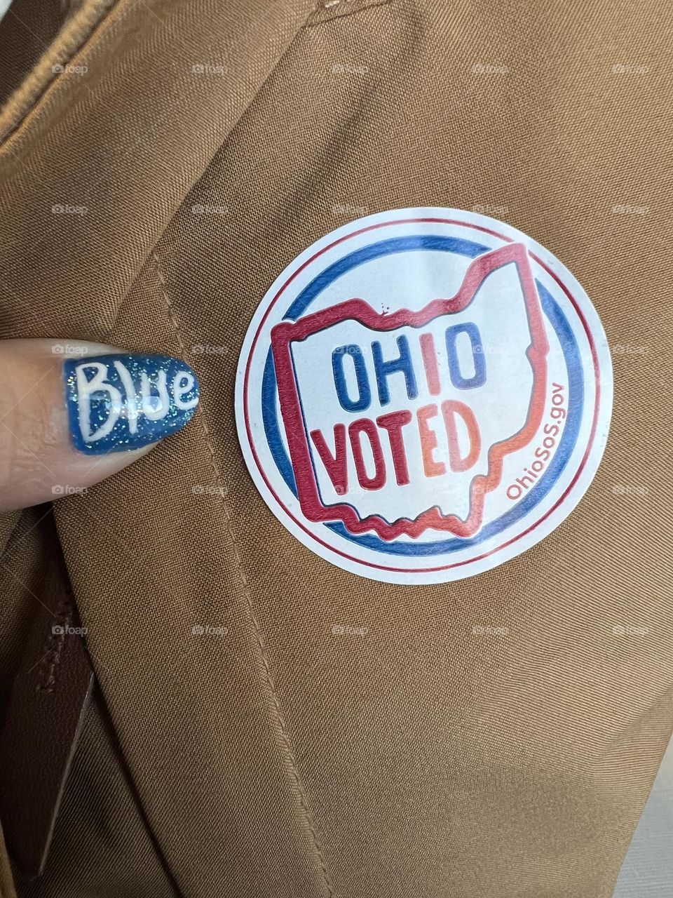 I voted in Ohio