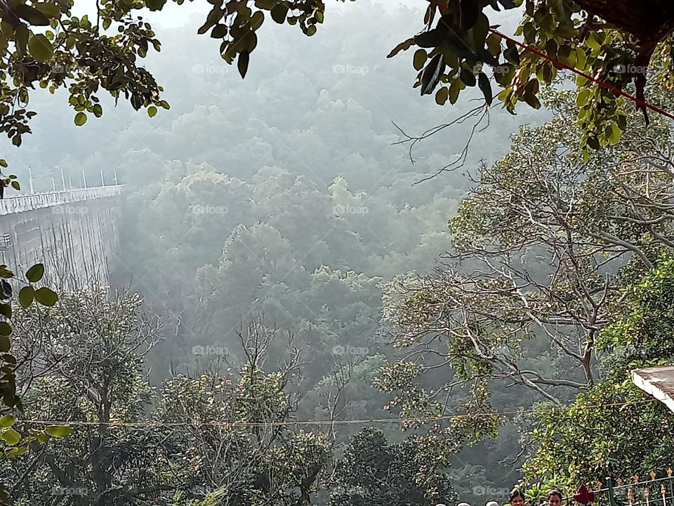 In nature enjoy trees and streams and the smell of fresh trees and grass more than anything. The special silence of nature and the sound of the wind that wraps around the branches and the sound of birds are pleasing to me.