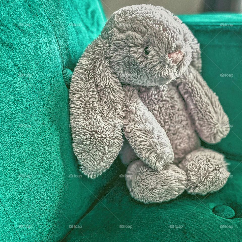 The Year of the Rabbit, stuffed rabbit on the couch, rabbit sits on the couch, toddlers favorite stuffed animal, toddler girls favorite toy, fuzzy gray rabbit on the couch, velvet couch and fuzzy rabbit, fuzzy stuffed rabbit celebrating on the couch