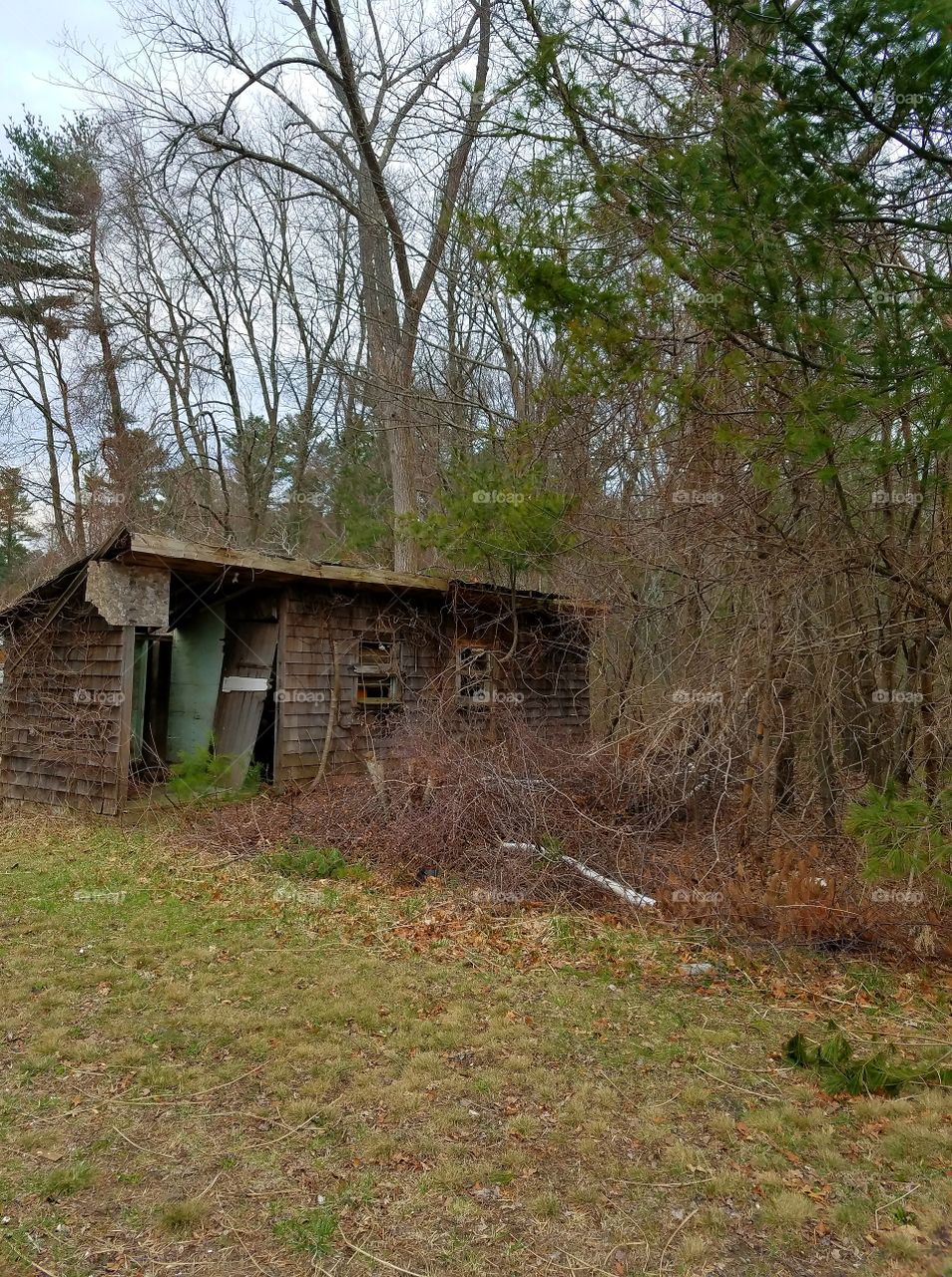 found in a clearing on a hike through some deep woods. If old cabins like this could only talk huh?