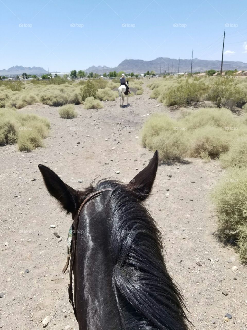 Trail ride on a horse in the desert seen from behind.