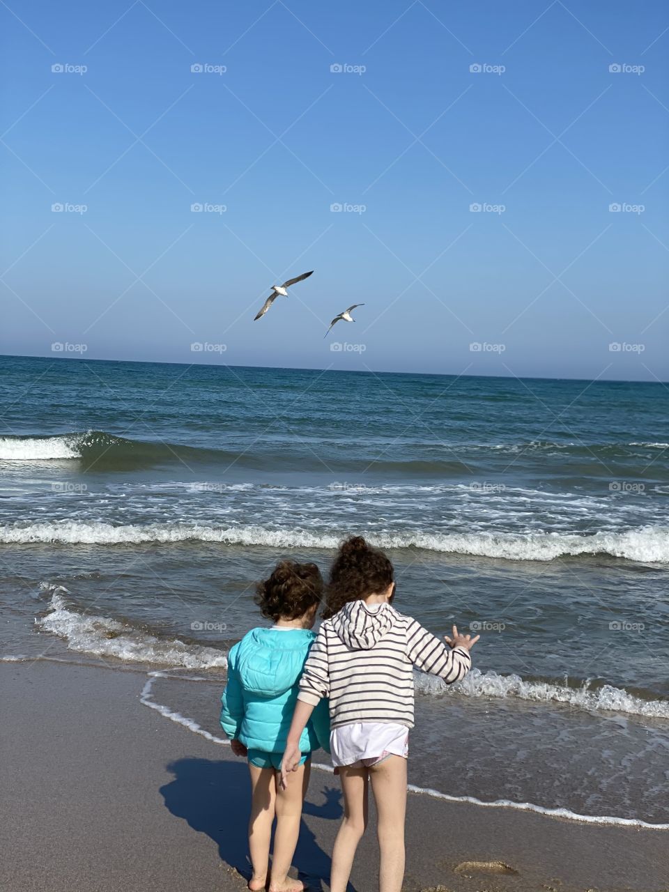 Two seagulls, two children and a sea