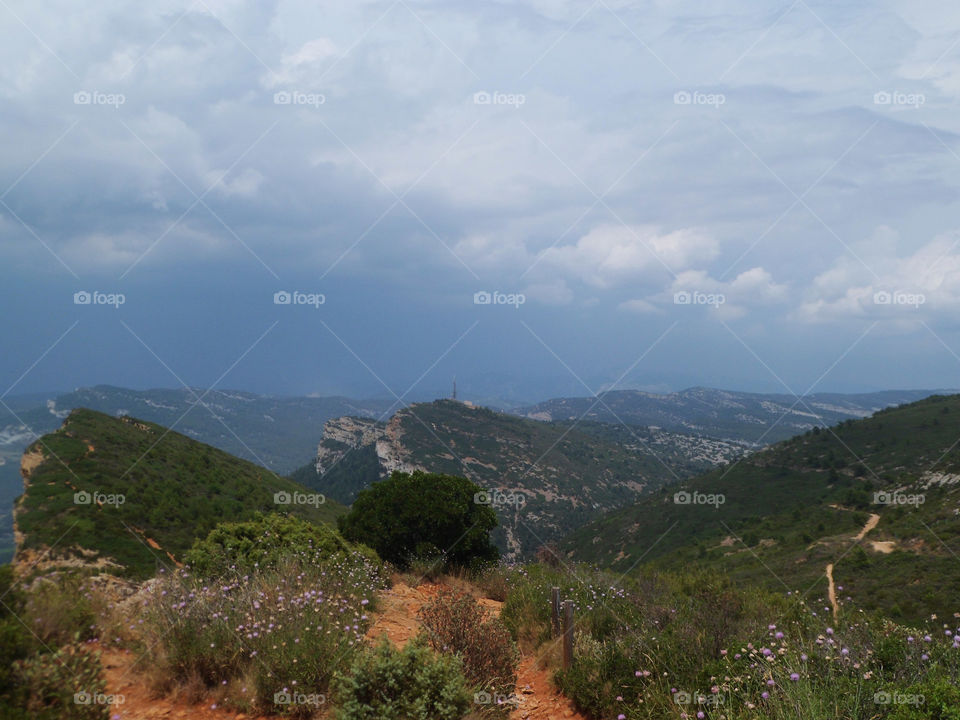 Scenic sight in Cassis in France