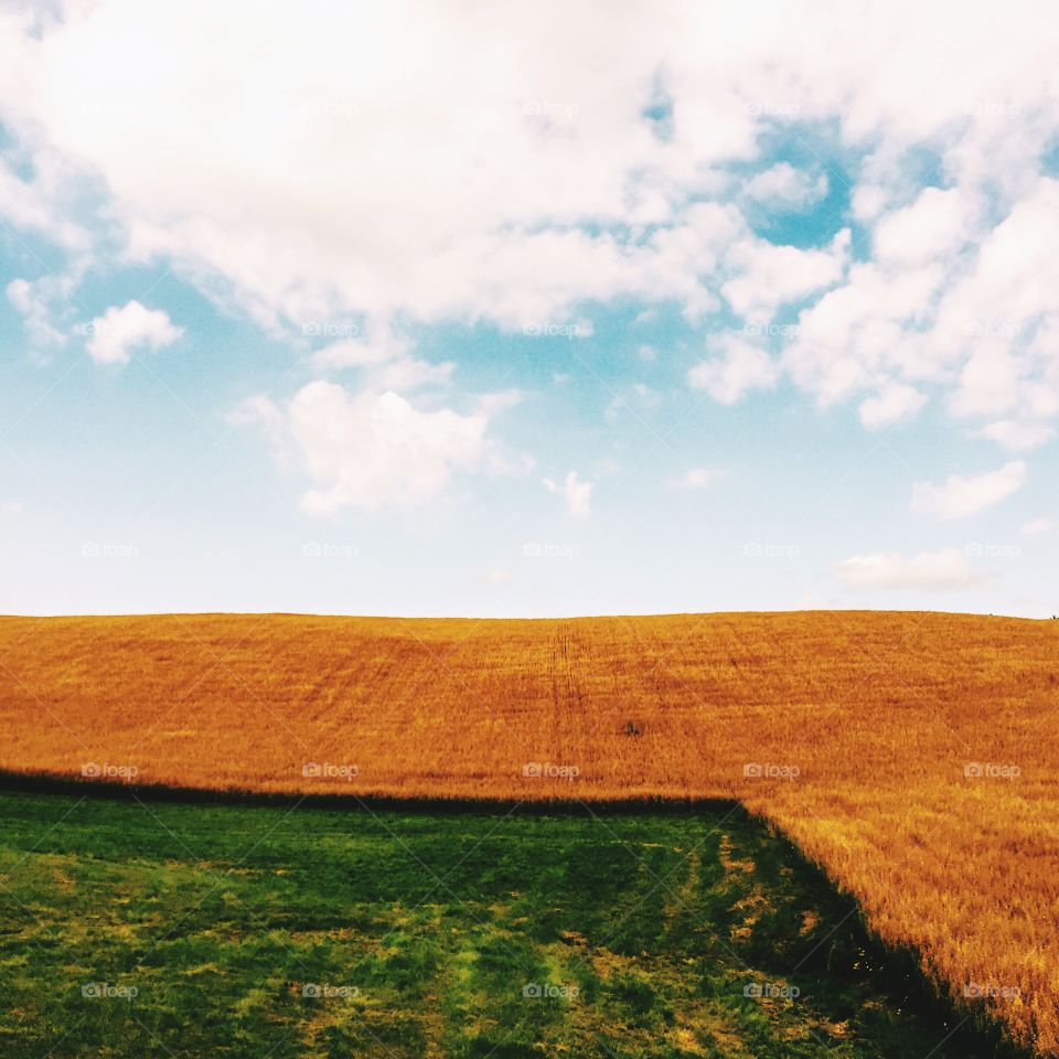 Landscape, No Person, Sky, Cropland, Grass