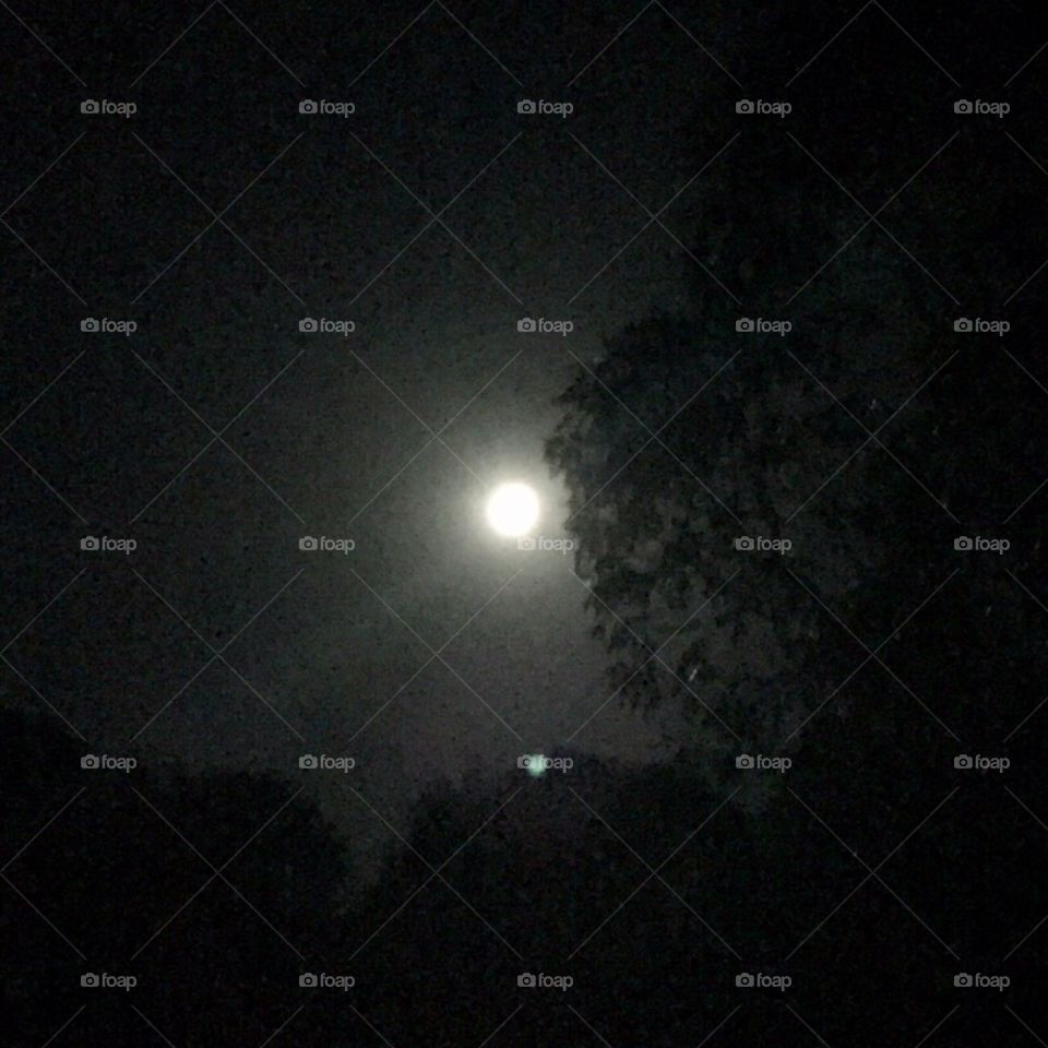 The moon at my place