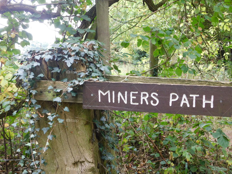 Miners Path