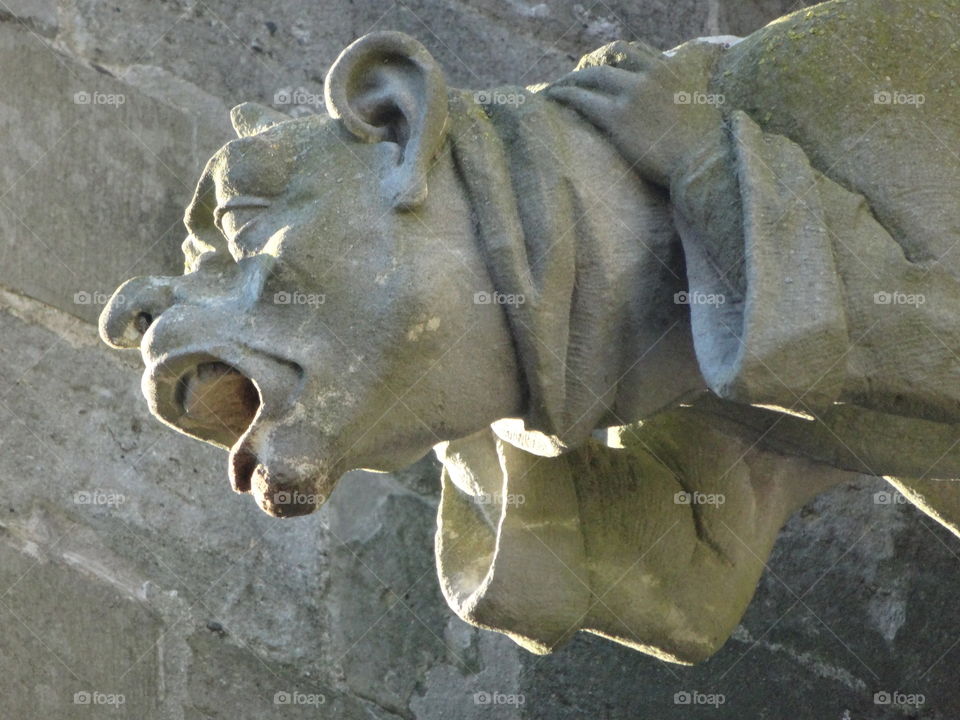 gargouille de l 'eglise saint-nazaire a Carcassonne