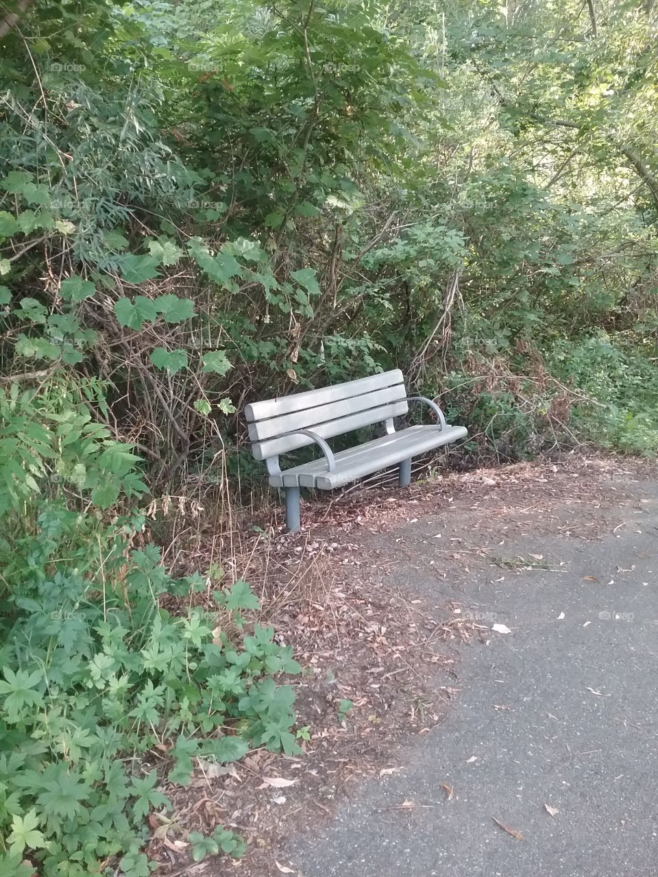 lonely bench 3