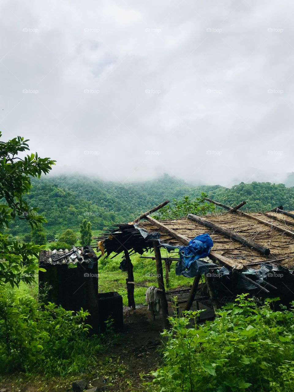 Hut 🛖 covered with mountains 🏔⛺️