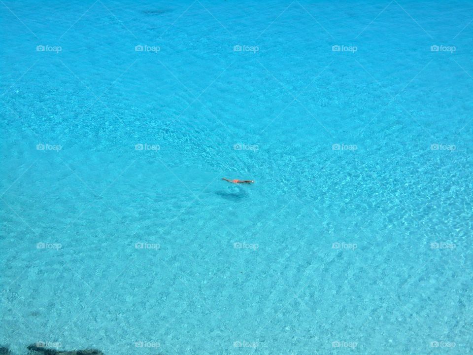 flying or swimming?. Lampedusa Island