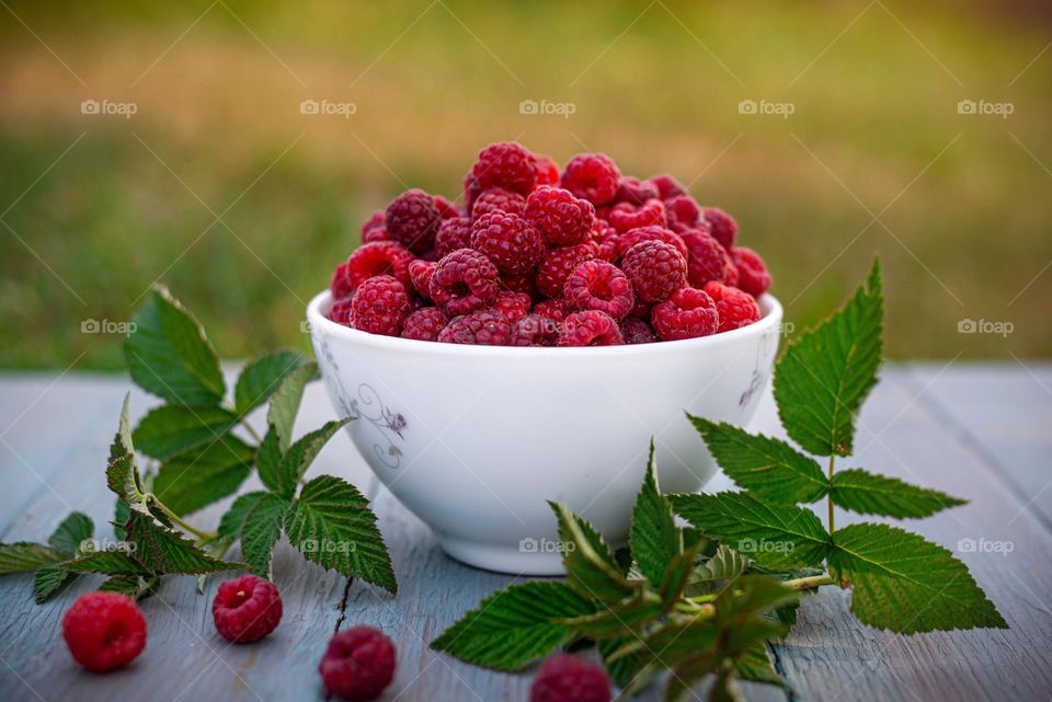 Summer food ripe sweet raspberries in a white cup outdoors in the garden, stands on a blue wooden background