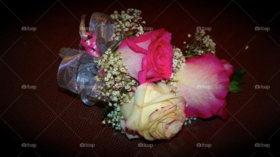 Rose Corsage. A corsage of pink and white roses with a touch of baby's breath.
