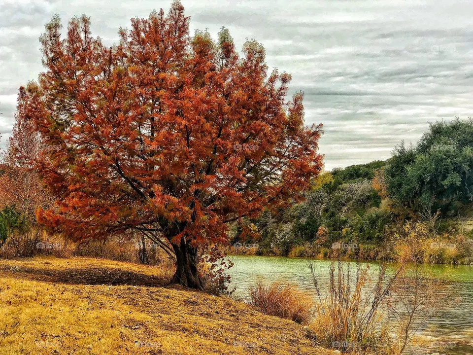 Autumn