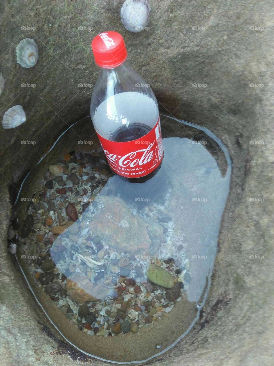 delicious bottle of fresh coca cola.