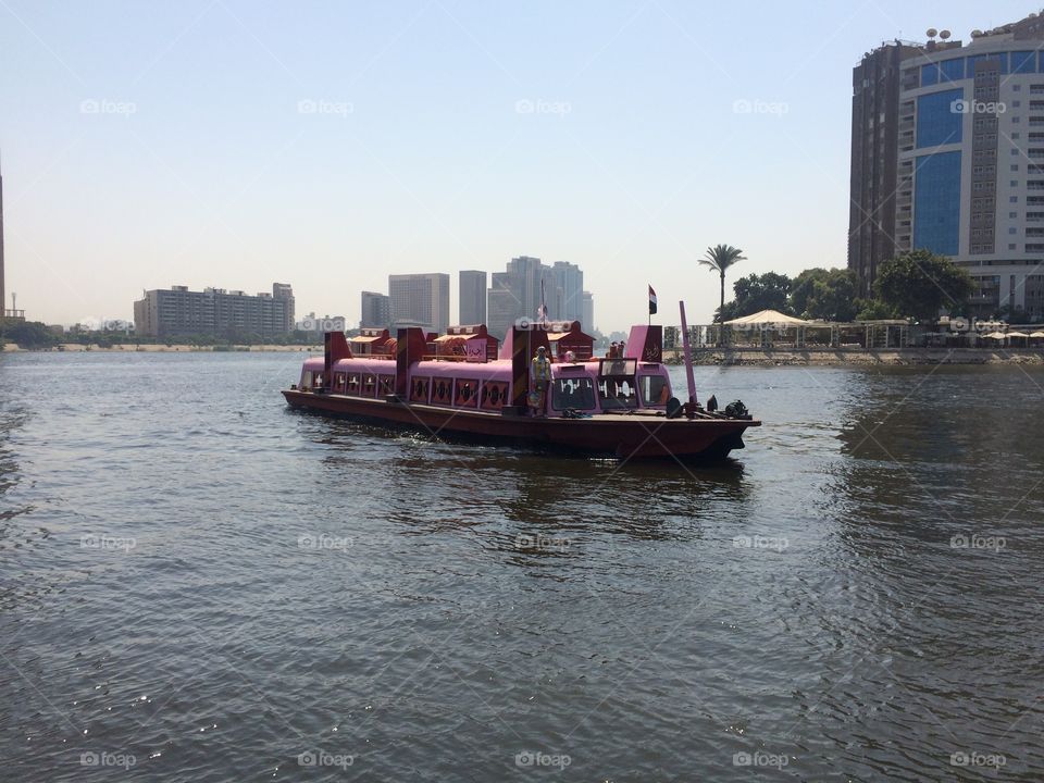 View of a nile fairy