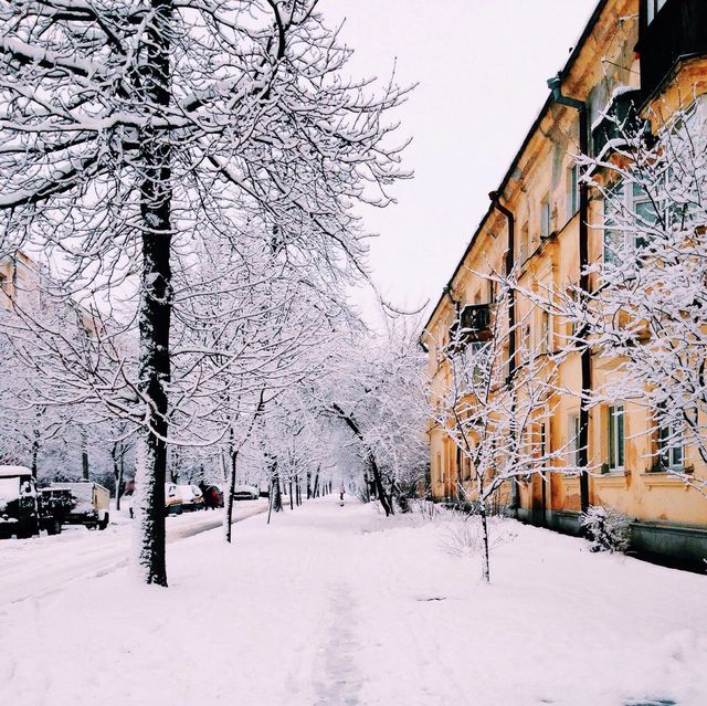 Snowy day