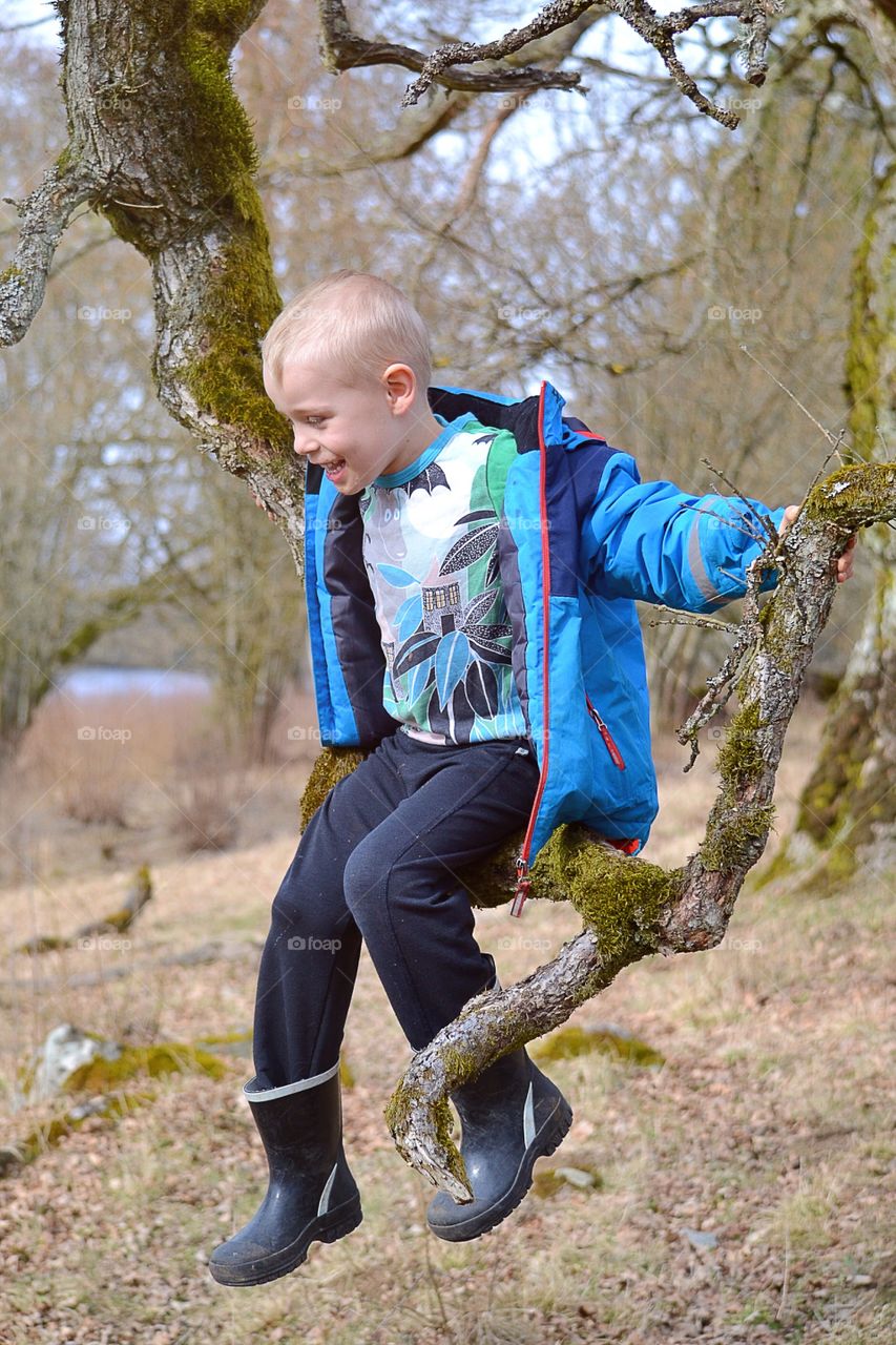 Boy sitting on a tree branch