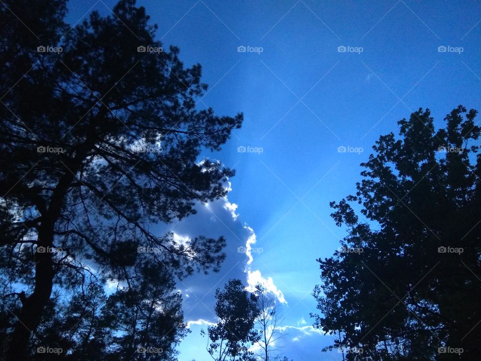 природа не имеет начала и конца