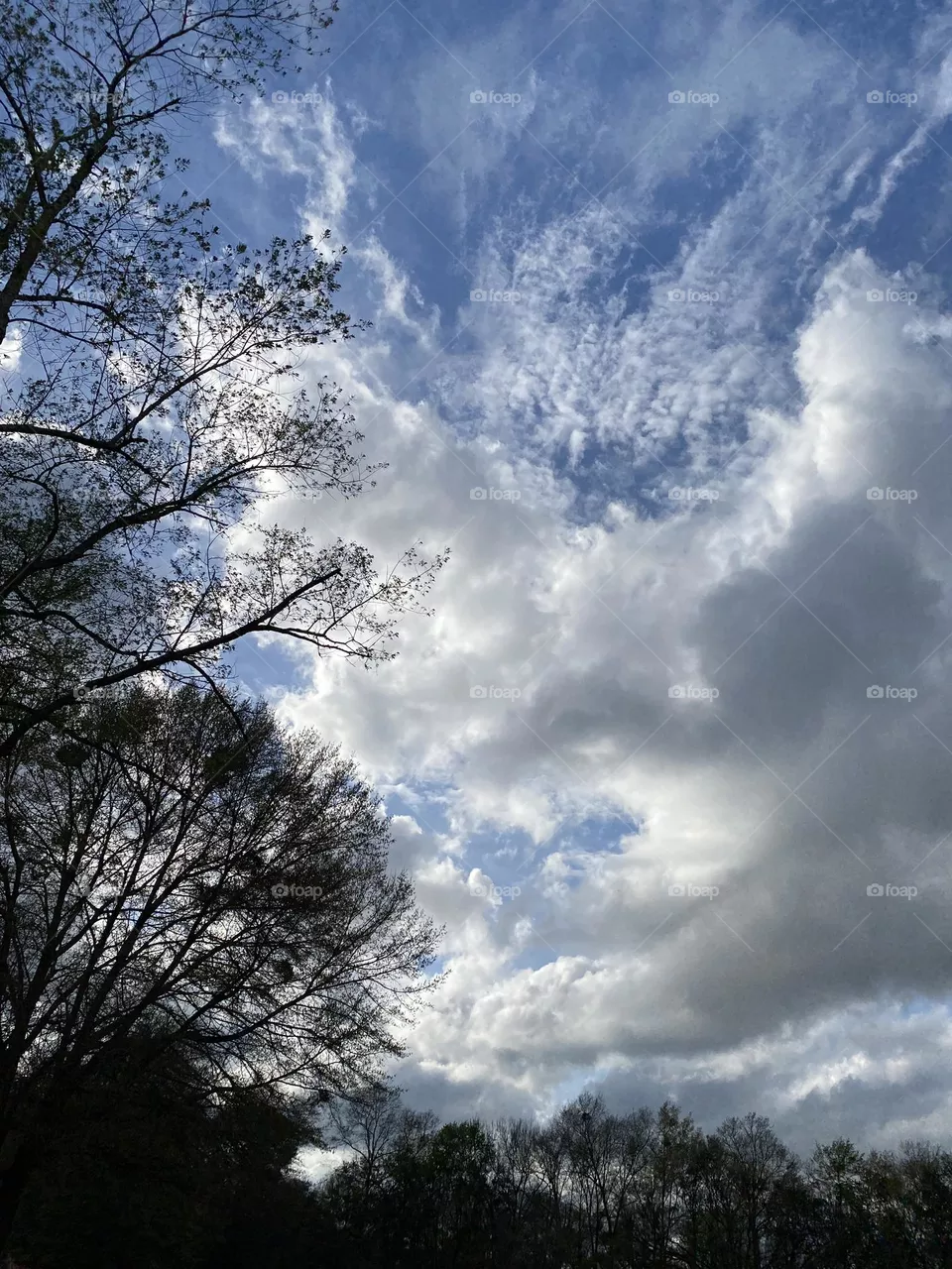 After the storm 