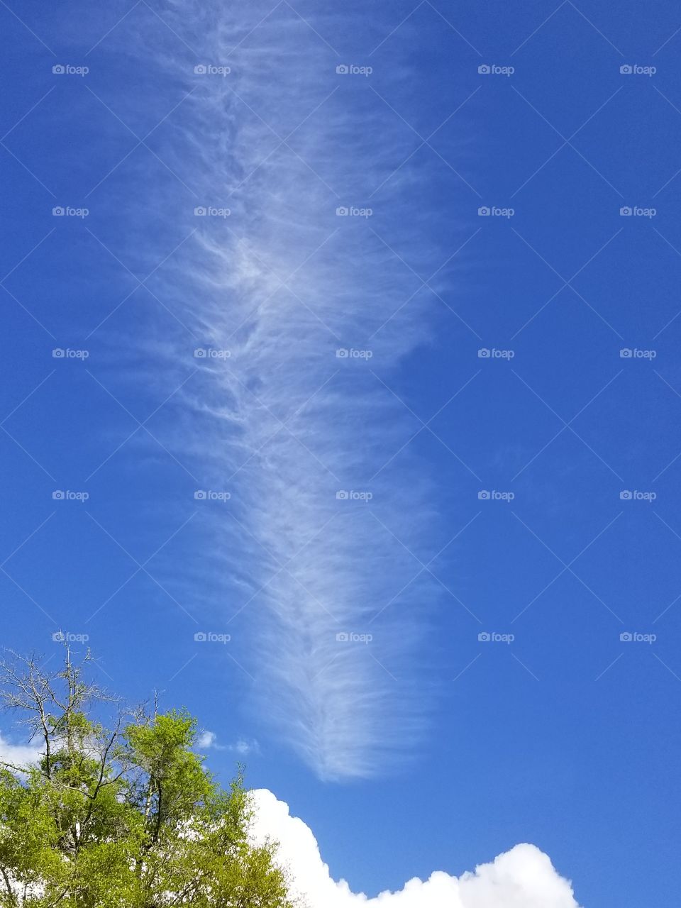 Feather Sky View