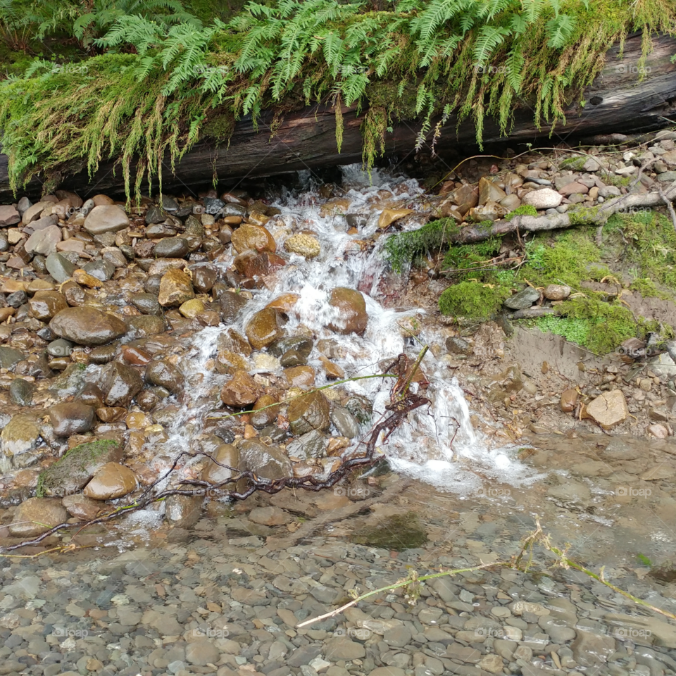 Water, Stream, River, Nature, Environment