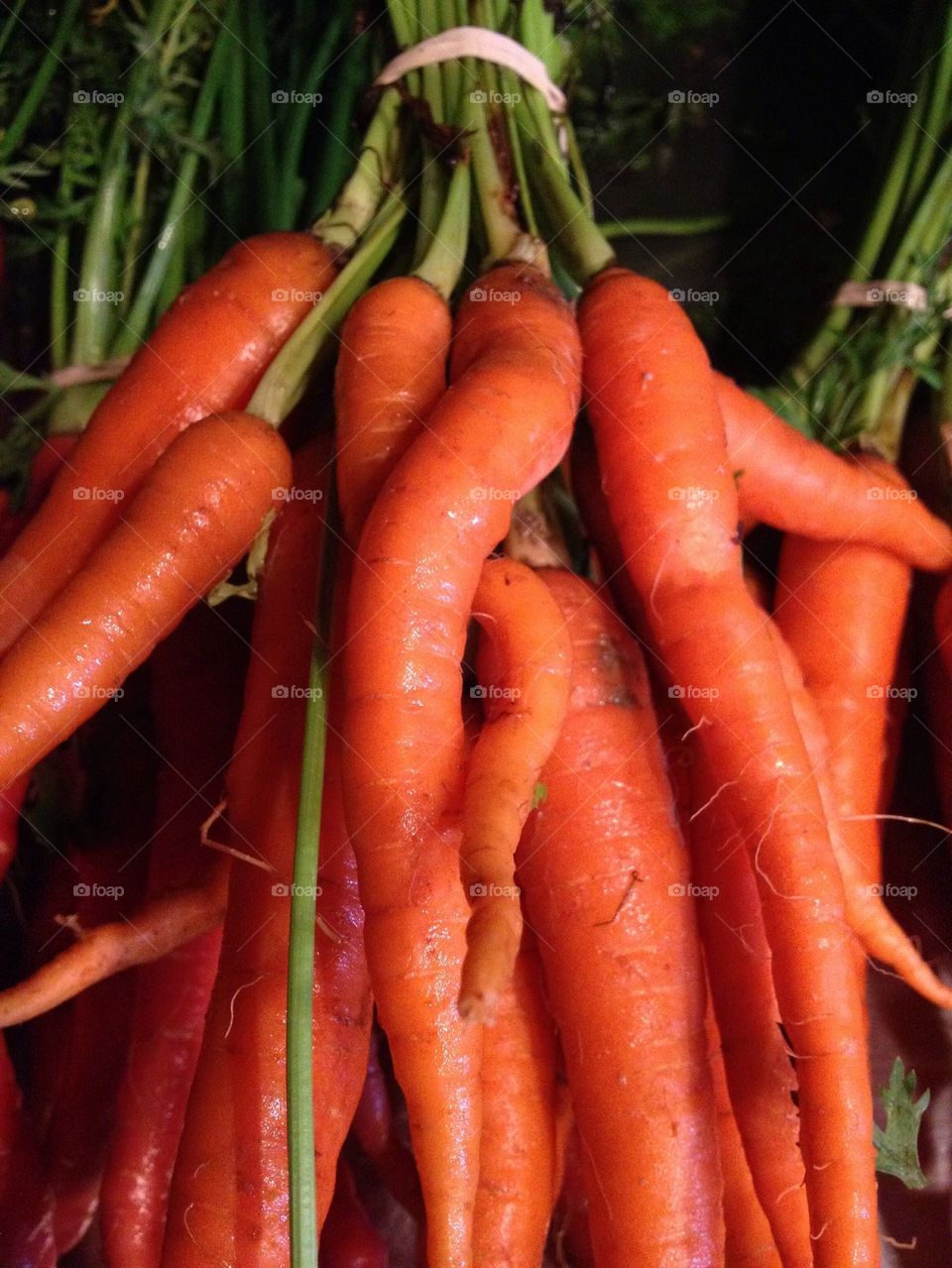 Carrot Hugs