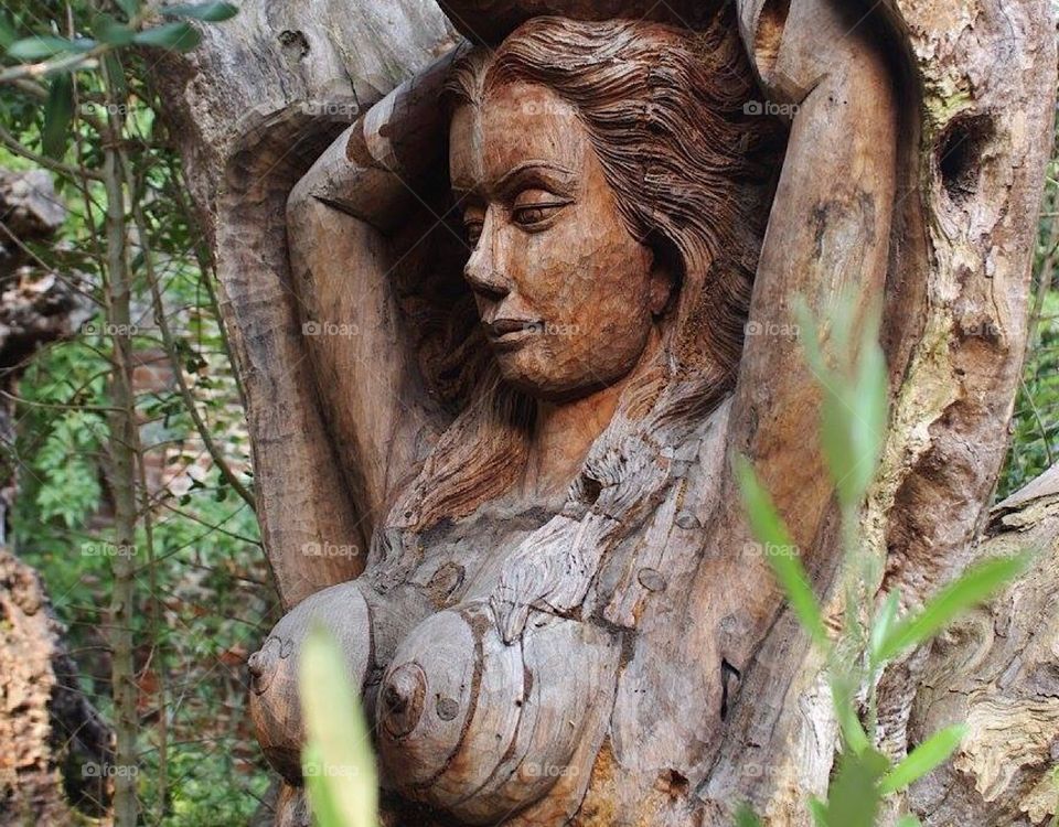 Woman in wood