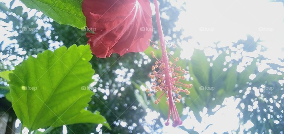 Good morning everyone......