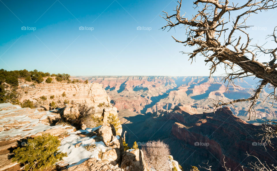 Grand canyon in winter