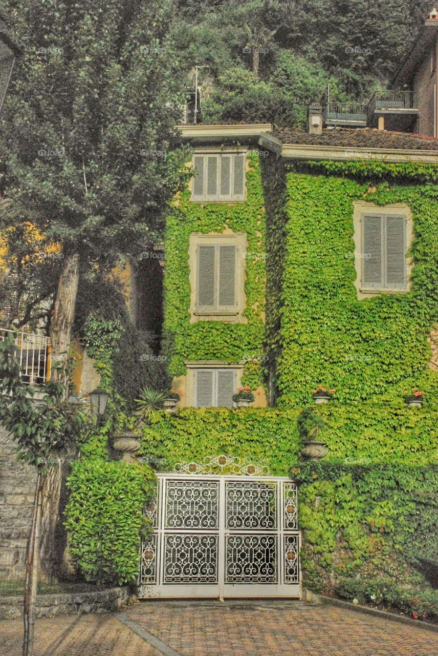 Shuttered . An ivy covered Italian villa with its windows shuttered against the setting sun