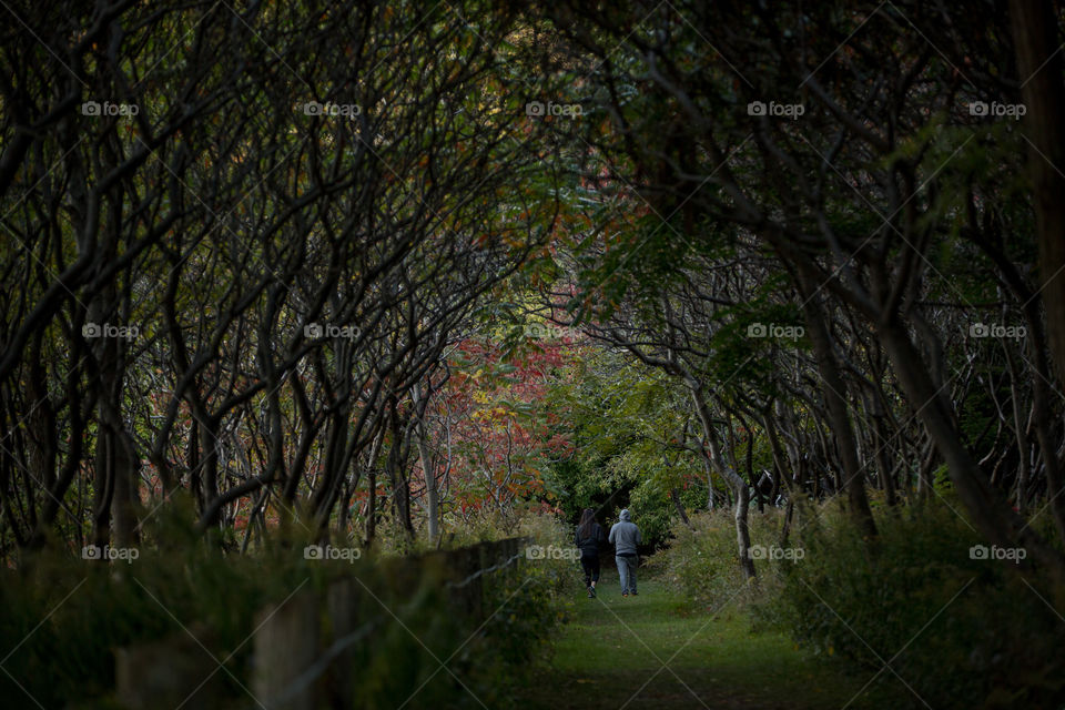 A couple of friends walking through dark forest hiking trails