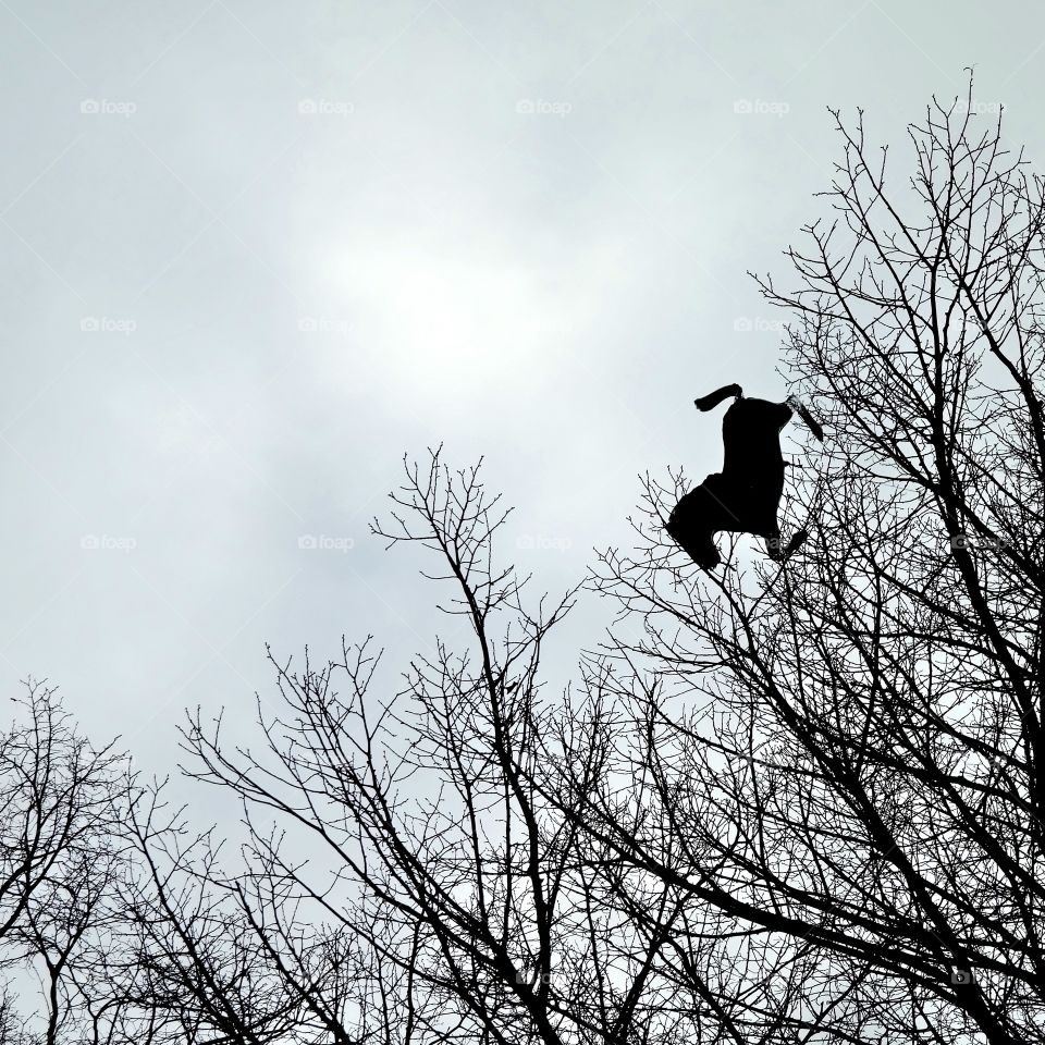 Horse ballon trapped in trees