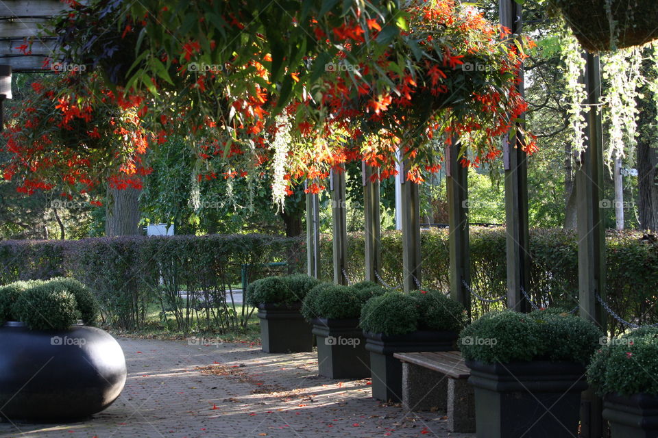 Beautiful terrace in autumn morning