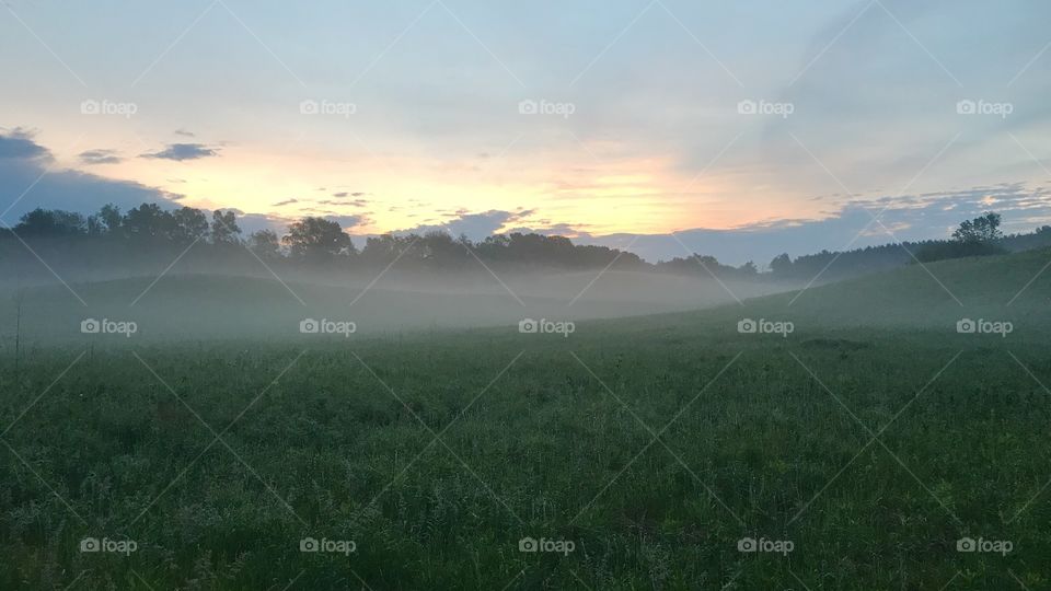Grassy landscape at foggy morning
