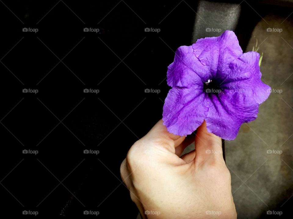 Enjoying the last bloom of the season. 