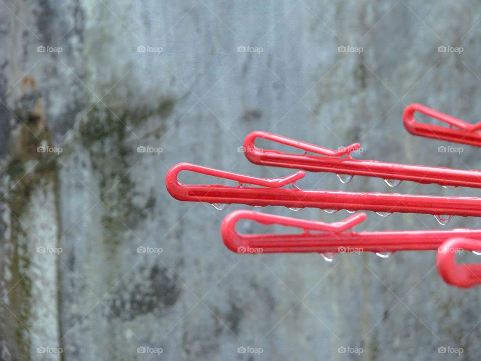 Close-up of wet and lined red clothespins, against a mossy concrete wall in the background