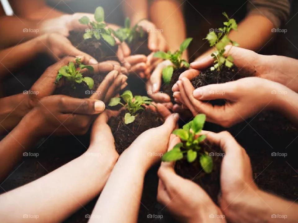 Nurturing future generations begins with small hands full of love and desire