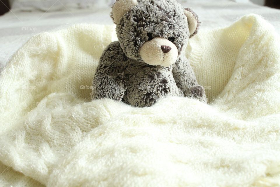 cute teddy bear