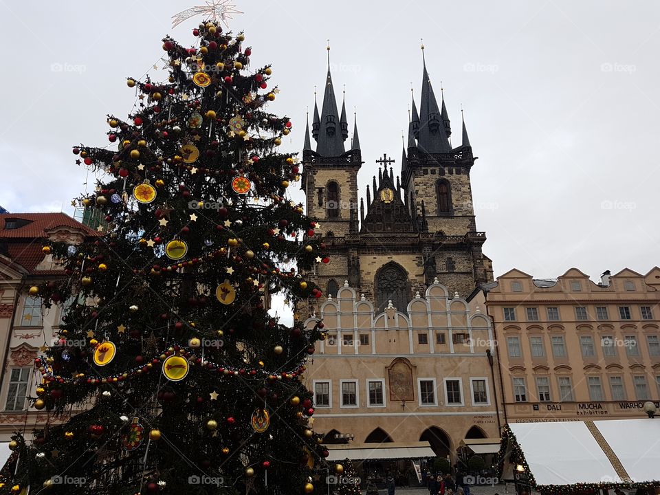 Christmas Tree in Europe