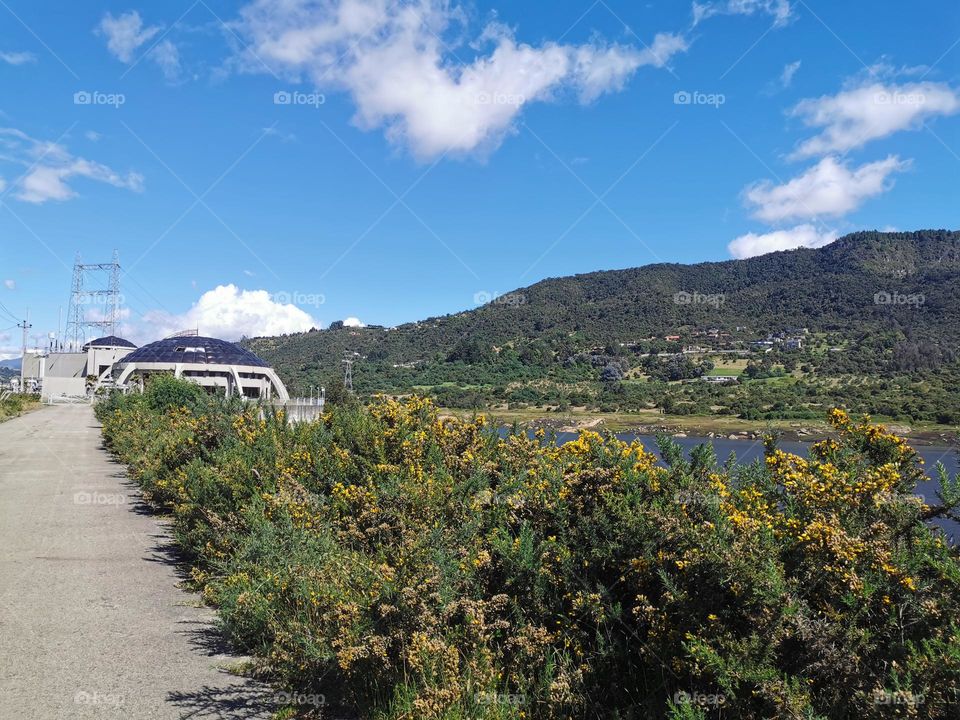 Earth day on a beautiful landscape 