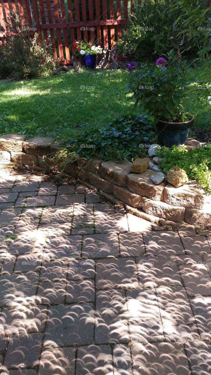 Shadows from the partial solar eclipse scattered on the garden patio.