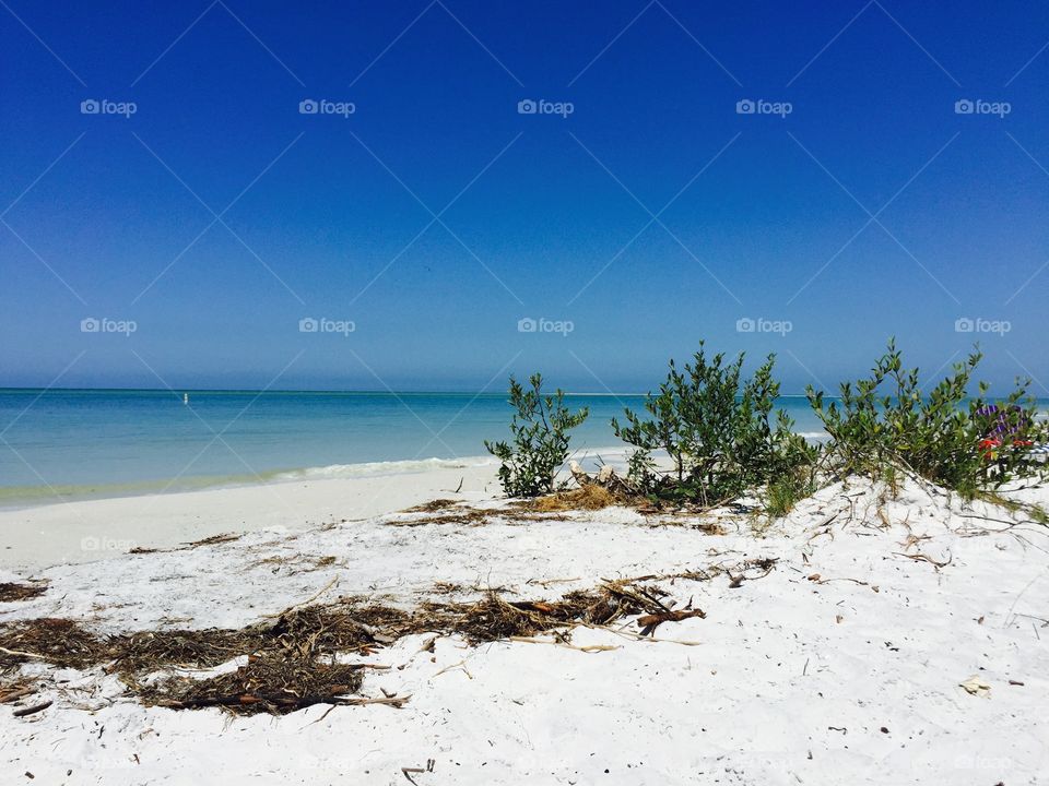 Perfect Beach. Fort De Soto - North Beach