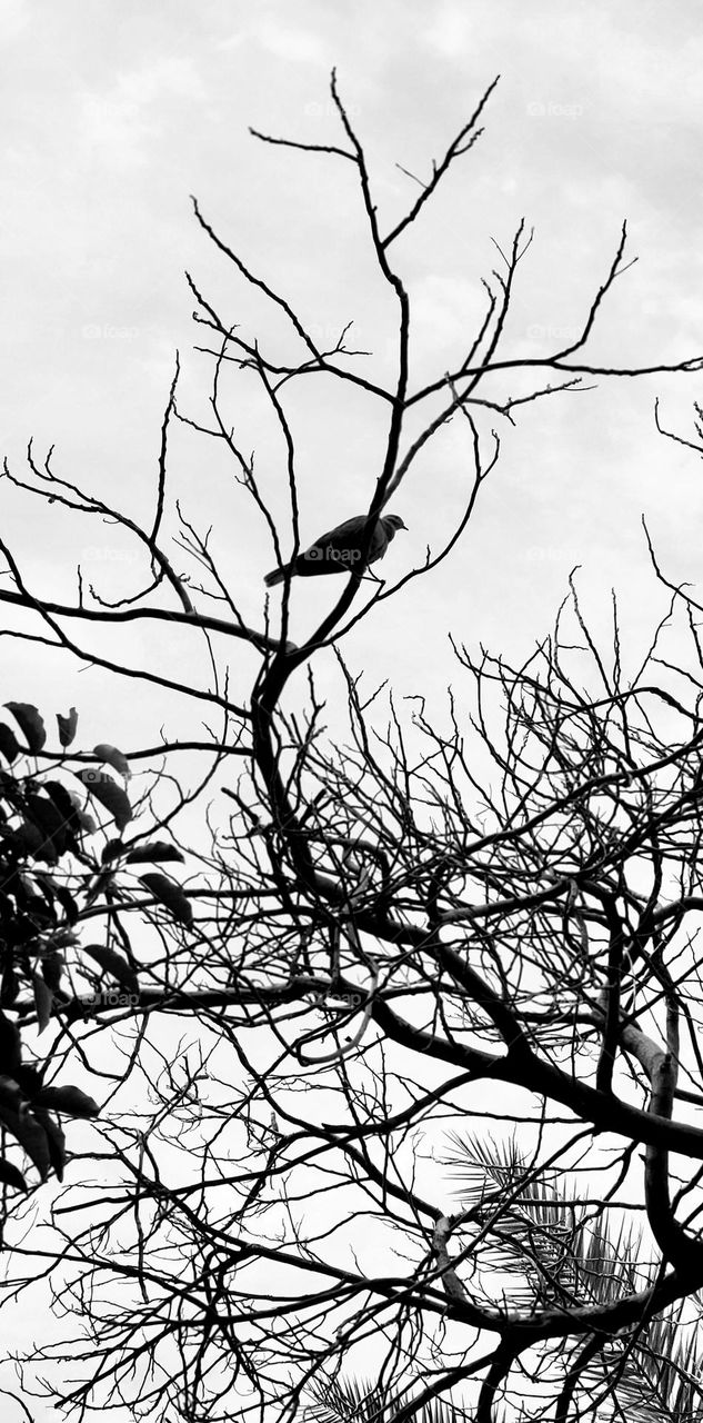 There is beauty around every bend.

“Look deep into nature, and then you will understand everything better.” 